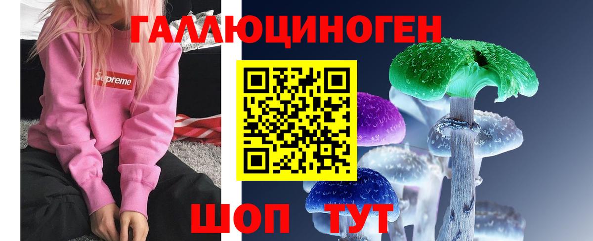 Галлюциногенные грибы Psilocybe Балтийск